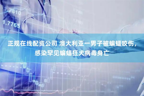 正规在线配资公司 澳大利亚一男子被蝙蝠咬伤，感染罕见蝙蝠狂犬病毒身亡