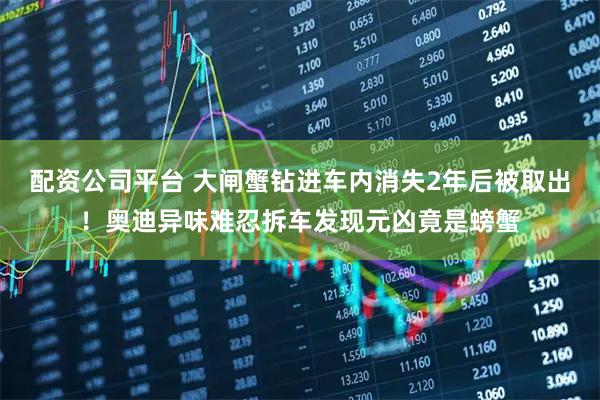 配资公司平台 大闸蟹钻进车内消失2年后被取出！奥迪异味难忍拆车发现元凶竟是螃蟹